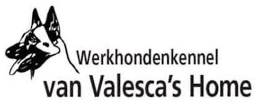 Werkhondenkennel Valesca's Home