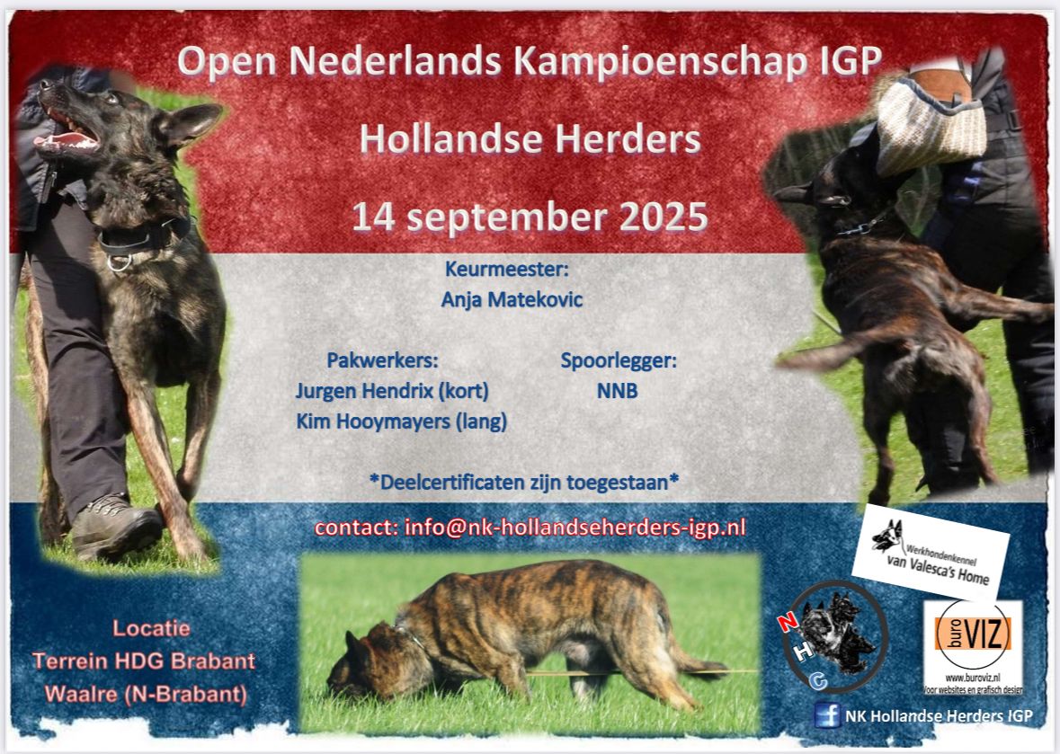 NK Hollandse Herders IGP 2025 Poster NK Hollandse Herders IGP 2025